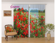 �������� "������� ������" 2 640,00 ���. �����: ����������� �������: 290x260 �� ��������: ����� �����: 03632