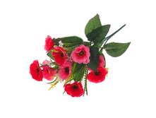 ����� "������ ���������" ��������� "������ ���������" ���� �����; 30 ��; �������, ��������; � ����� 1200 ��. ���.: 1274867 66.22���.