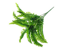 ����� "����������"����� "����������" �����; 35 ��; �������, ��������; � ����� 600 ��. ���.: 1653761 62.00���.