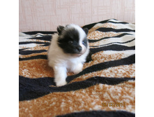 ���-��� 006.JPG