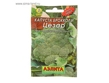 ������ ������� �������� �����, ������������, 0,3 � ���. 1731670 ���� 4,88 ���, ���. 40 ��.jpg