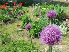 ��� ����������