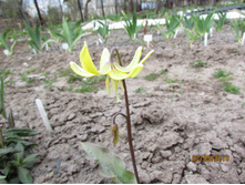 ������ ������.JPG