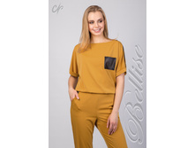 1315 ���. 1672���.