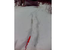 IMG 20170304 123000.jpg