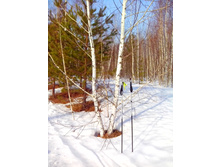 IMG 20170311 102244.jpg