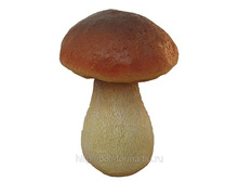 ������� ������ ���� ����� ���� ������� �-24��.jpg