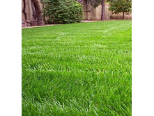 ���������� ���������� ��������.jpg