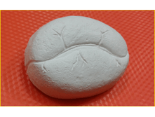 266 - ����� ����.png