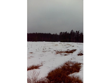 IMG 20170318 081222-1.jpg