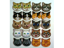 ���� ���� �033 ���� 170 ���.