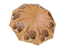 Zont-zhenskiy-7770-shine-3-sl-s-a-teflon-koshki 17.jpg