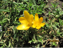 ������ ������.JPG