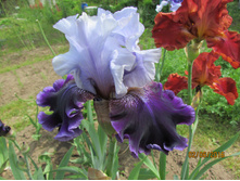 ���� ��������� ����� ������.JPG