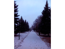 IMG 20170327 062753.jpg