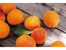 ������� ������������� � �������.jpg