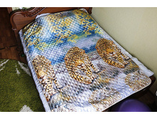 ��������� ���� 2,0 �������� (180�210) No81 680,00 ���.