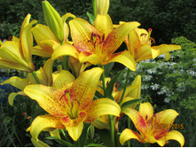 ��������� ����� �������� 2.JPG