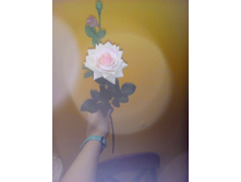 2017-03-28 10-55-28.JPG