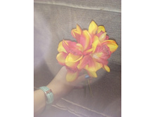 2017-03-28 10-52-14.JPG