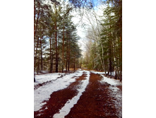 IMG 20170325 111412.jpg