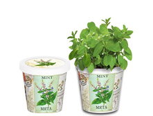 ����  80 ���..jpg