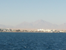 551a401aa4e75 543e5b0e960a519.jpg