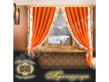 ������ ���� 566 ���