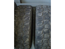 IMG 20170331 090636.jpg