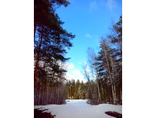 IMG 20170325 112230.jpg