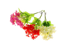 ����� "������ ������" ��������� "������ ������" ���� �����; 30 ��; �������, ��������; � ����� 1200 ��. ���.: 1049646 66.00���