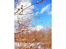 IMG 20170325 131104.jpg