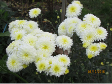 ���������� ��������� ����.JPG