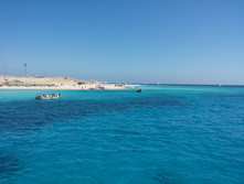 551a402134fc0 547c30cfb2f6a41.jpg