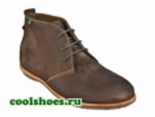 4050�-���-n641 ari--.jpg