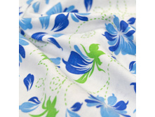 ��������- �������.jpg