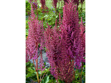 ��� ��� ��� ����-17�*