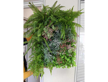 ���������� 02