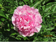 ���� ���� ������.JPG