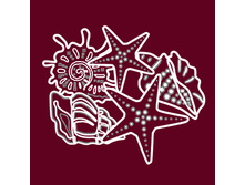 101086R Rakushki-140�120=9�