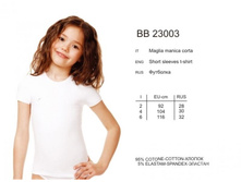 �������� IBB23003 Acacia.jpg
