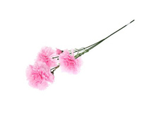 ����� ������������� "���������" 8*67 ��, ������������ ������������� "���������" 8*67 ��, ������� �����; 8 �� × 67 ��; �������, ��������; � ����� 600 ��. ���.: 1662268 59.00���.