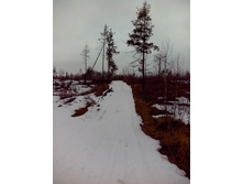 IMG 20170319 113332.jpg