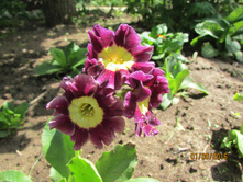 ������� �� ����� (2).JPG