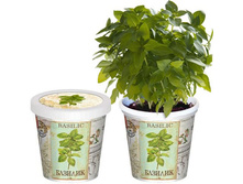 ������� 80 ���..jpg