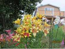 ��������� ����� ��������.JPG