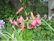 ��������� ������� �����.JPG