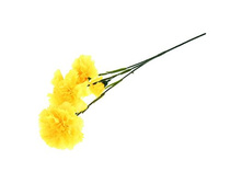 ����� ������������� "���������" 8*67 ��, ֣��������� ������������� "���������" 8*67 ��, ֣���� �����; 8 �� × 67 ��; �������, ��������; � ����� 600 ��. ���.: 1662267 59.00���.