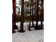 IMG 20170304 110656.jpg