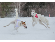 33048996871 e0a73ab3a0 o.jpg